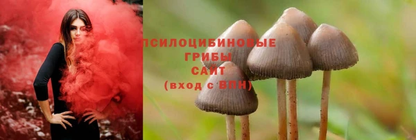 ALPHA PVP Алзамай