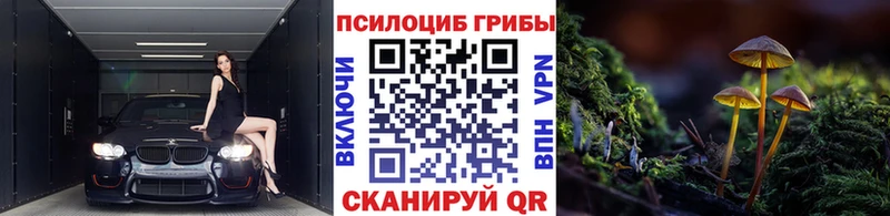 закладки hydra маркетплейс Галлюциногенные грибы MAGIC MUSHROOMS Звенигово